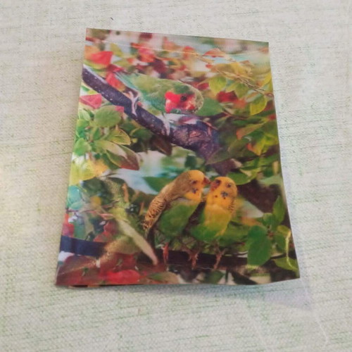 Vintage Τρισδιάστατη Καρτ Ποστάλ 3D Lenticular Παπαγαλάκια με φθορές πίσω