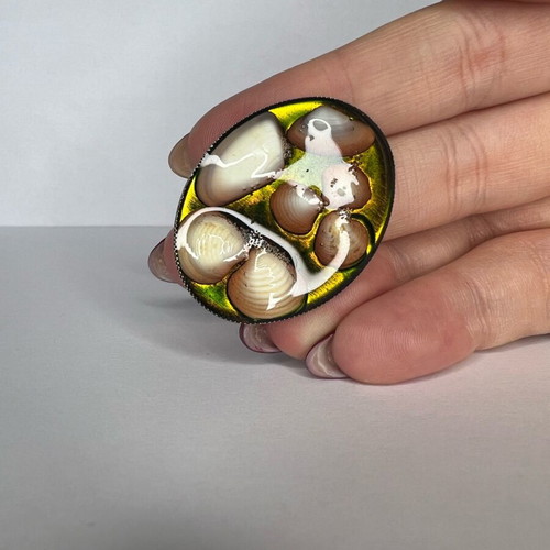 Ring with liquid glass like new, multicolor, handmade with real shells