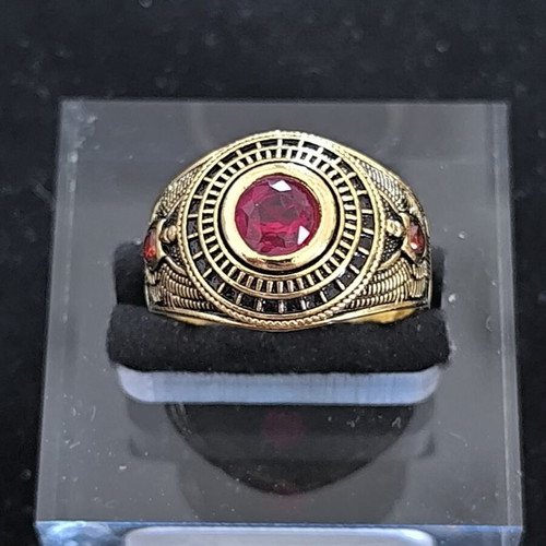 Men's vintage ring with red stone and Egyptian designs