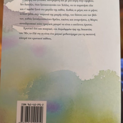Edo Stin Gi book like new by Alice Hoffman