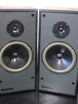 Ηχεία Roister DS 80 μεταχειρισμένα με γεμάτο μουσικό ήχο