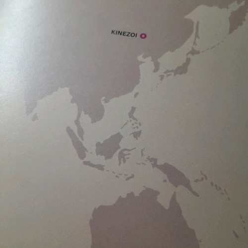 In the Land of the Chinese book like new
