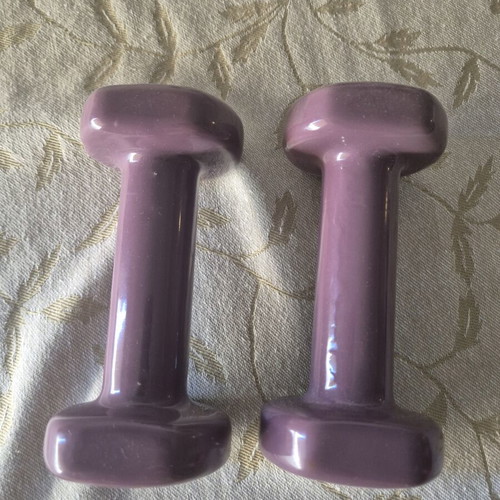 Dumbbells 1.5 kg each, set of 2