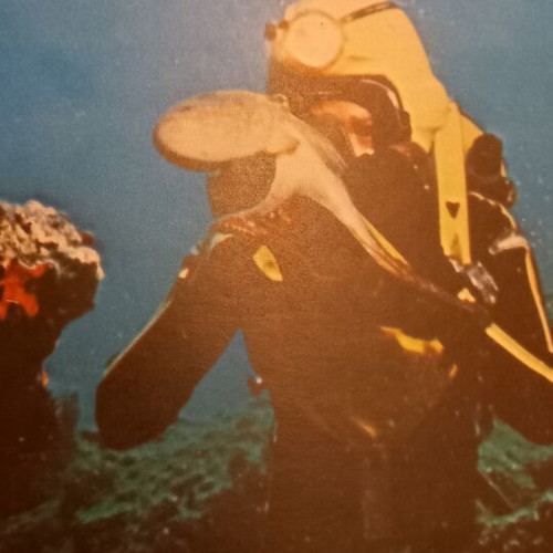 The Underwater Discoveries of Jacques-Yves Cousteau book set new