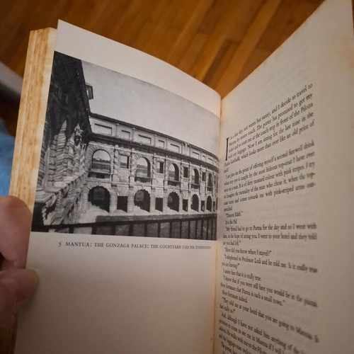 The Surprise of Cremona by Edith Templeton used, English edition