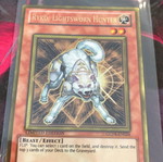 Ryko Lightsworn Hunter Gold Rare Yu-Gi-Oh Card New