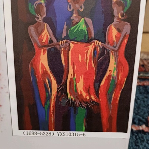 DIY painting canvas new with numbered pieces 40x50