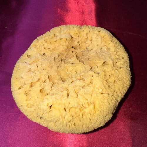 Natural sponge from Kalymnos used