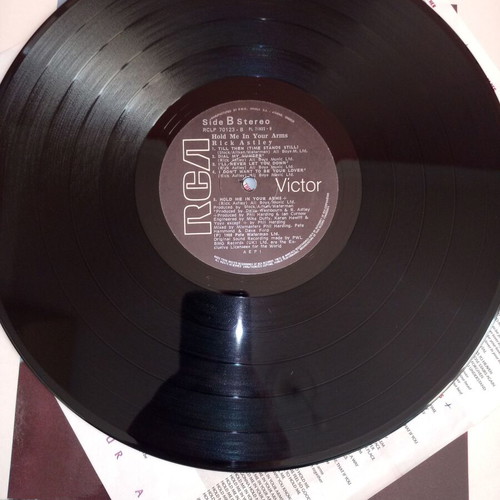 Rick Astley Hold Me In Your Arms vinyl like new, pop