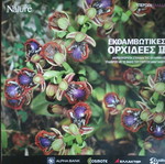 Dazzling Orchids II like new