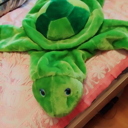Turtle carnival costume used, size 5 years