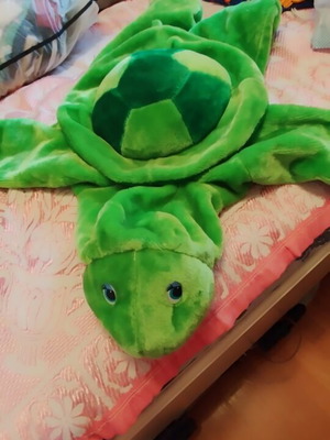 Turtle carnival costume used, size 5 years