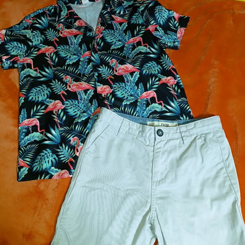 Set of Bermuda shorts and flamingo shirt 8-9 years like new