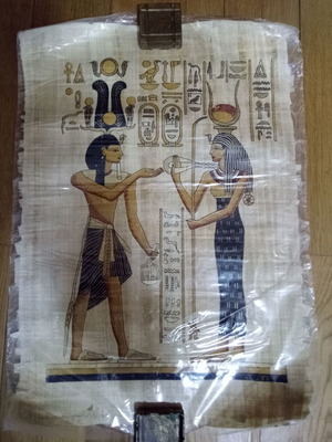 Egyptian papyrus new