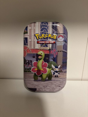 Pokemon cards empty tin