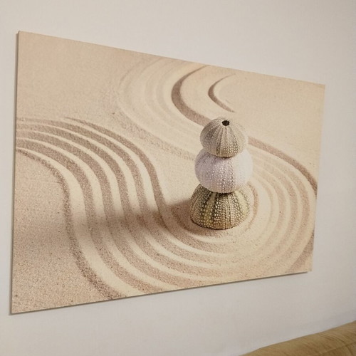 Πίνακας σε καμβά Zen Garden & Αχινοί σαν καινούργιος, μινιμαλιστική διακόσμηση