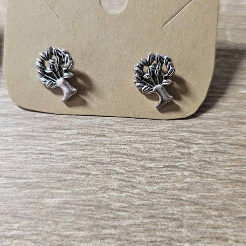 Earrings new, silver