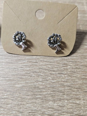 Earrings new, silver
