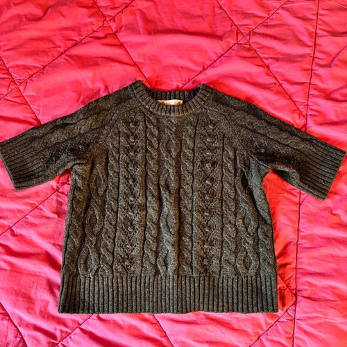 Wool gray Zara blouse size Small like new with short sleeves