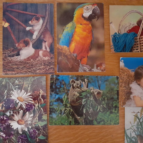 Vintage postcards from the 70s with animals and flowers, used, pack of 7