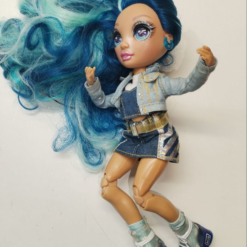 Rainbow High Skyler doll like new