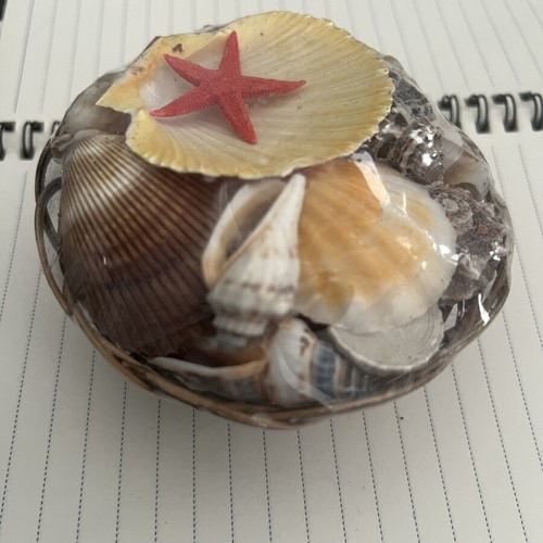 Basket with seashells new