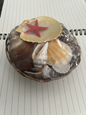 Basket with seashells new