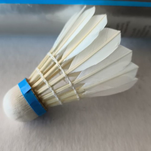 Badminton shuttlecocks new, 2 sets of 24 genuine duck feather and natural cork
