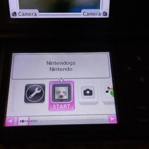 Nintendogs Labrador & Friends DS game