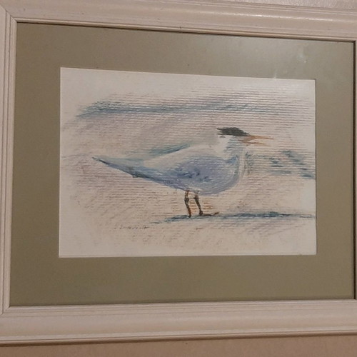 Bird paintings set of 2 new with wooden frames