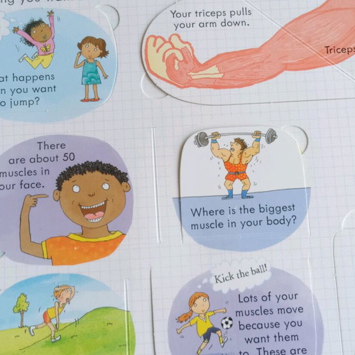 Children's book Look inside your body like new, English