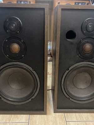Pioneer Project 100A vintage speakers pair with 10” woofer used