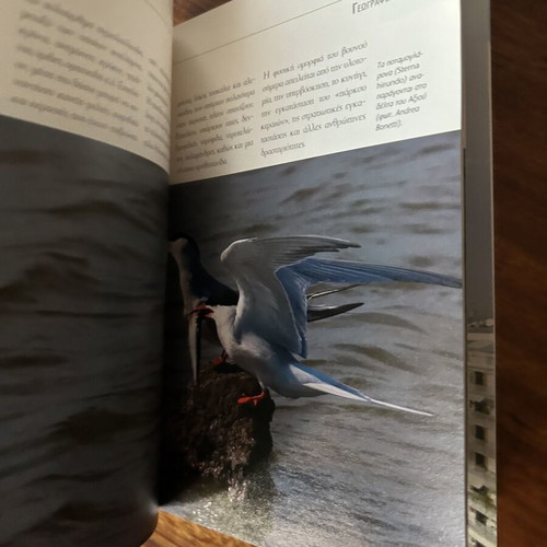 Greece Thessaloniki book