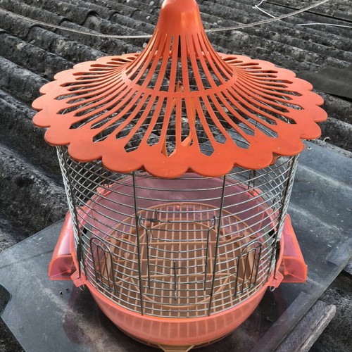 Round metal small bird cage, new
