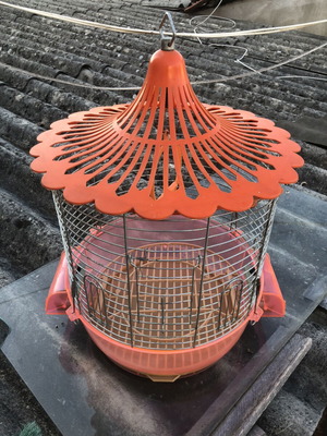 Round metal small bird cage, new
