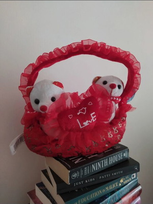 Valentine's Day doll gift new with tag