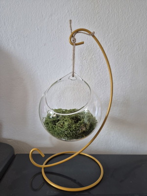 Terrarium decorative glass with moss on golden metal stand new