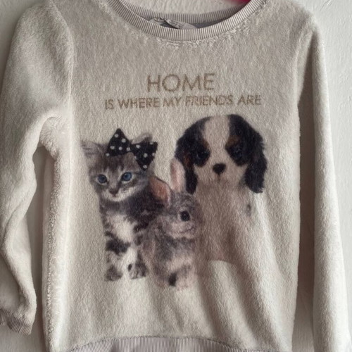 H&M warm sweatshirt size 110/116 (4–6 years) like new with animal design