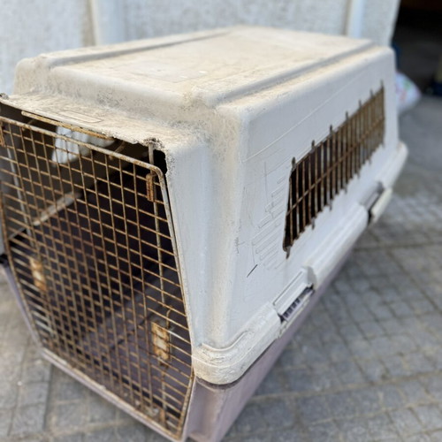 Pet Carrier large size used with metal door and ventilation