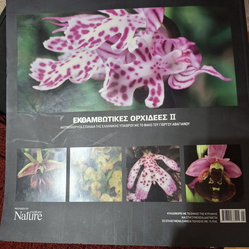 Dazzling Orchids II book, Greek wildflowers by G. Avagianou