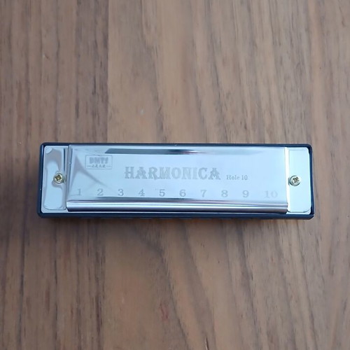 Diatonic Harmonica 10 Holes New with Case