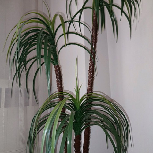 Decorative plant for indoor and outdoor spaces (H 1.40).