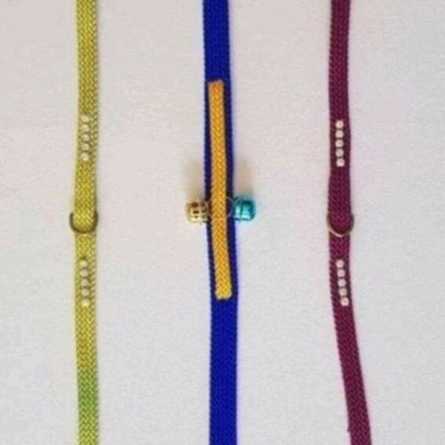 Pet collars new