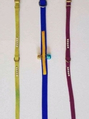 Pet collars new