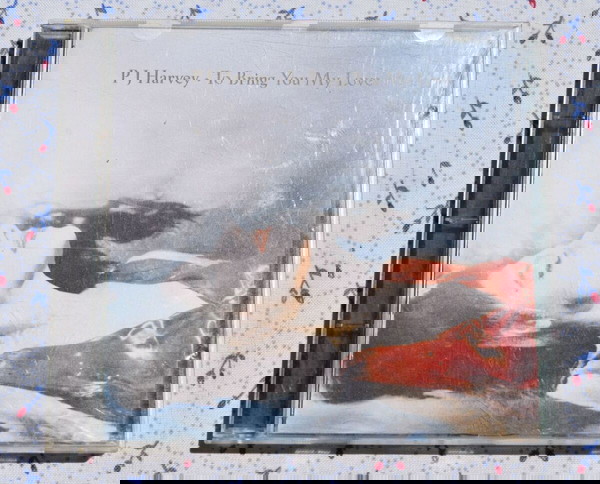 P J Harvey – To Bring You My Love
