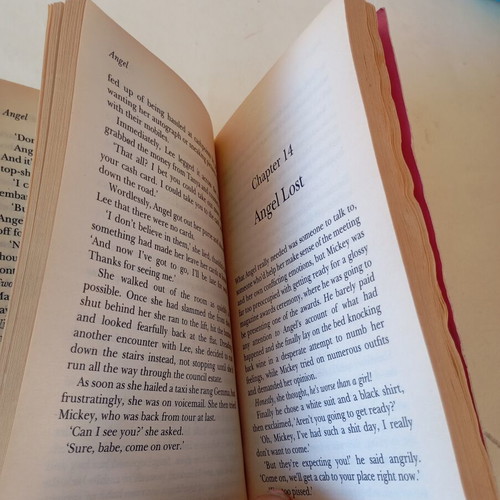 Katie Price Angel novel used, English