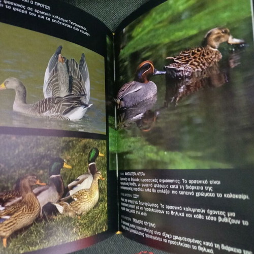 Book with Animals like new, about 1000 pages, Greek with index