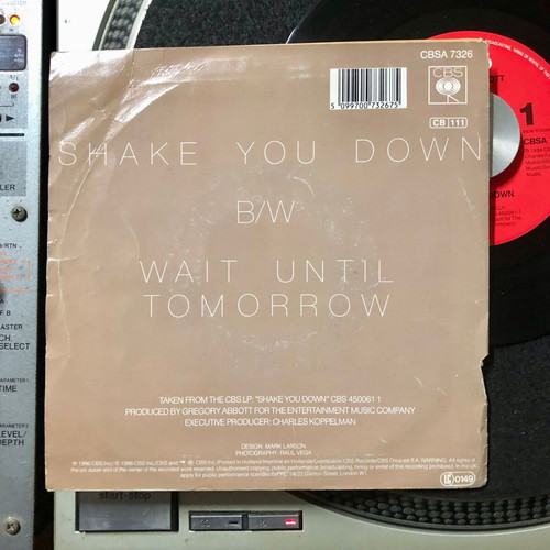 Gregory Abbott Shake You Down 7" vinyl single used, pop