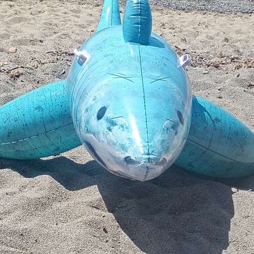 Best way inflatable shark for ages 3 and up