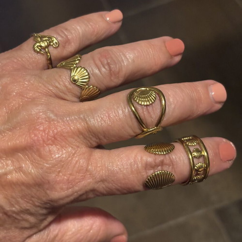 Set of 6 gold-tone stainless steel rings with sea shell designs